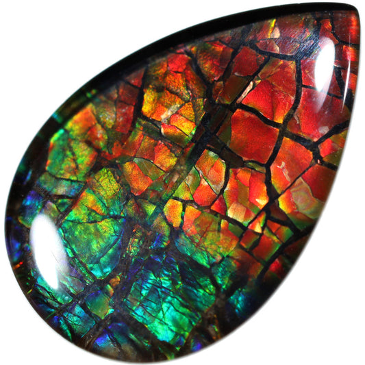 Ammolite: Unleashing Prosperity, Energy Flow, and Ancient Wisdom